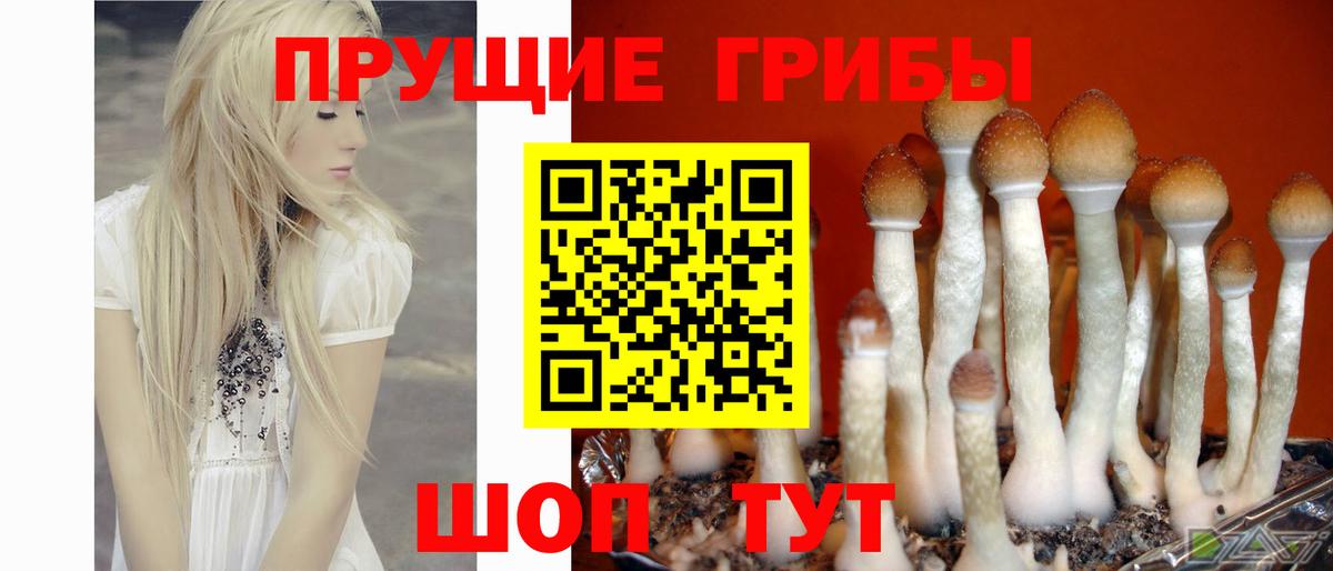 Великие Луки  Псилоцибиновые грибы мухоморы  Вход с VPN  магазин продажи наркотиков  Галлюциногенные грибы прущие грибы 